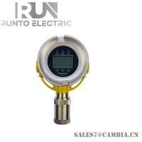 Honeywell FGM-6300S Fixed Gas Belonging RAEGuard 3 Series