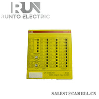 DX581-S 1SAP284100R0001 ABB Security Digital Input Module