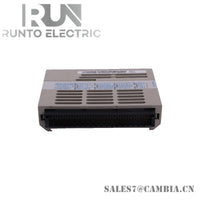 OVATION 1C31110G03 INPUT MODULE