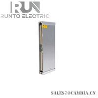 125768-01 | Bently Nevada | RIM I/O Module