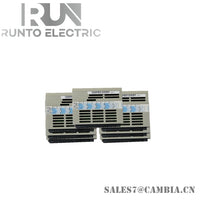 1C31125G02 | Ovation | Digital Output Module