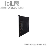 High quality Triconex 2401 Module